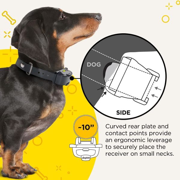 mini dog collar