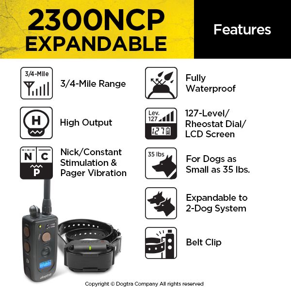 Dogtra 2300 EXP | Dog Training Outlet