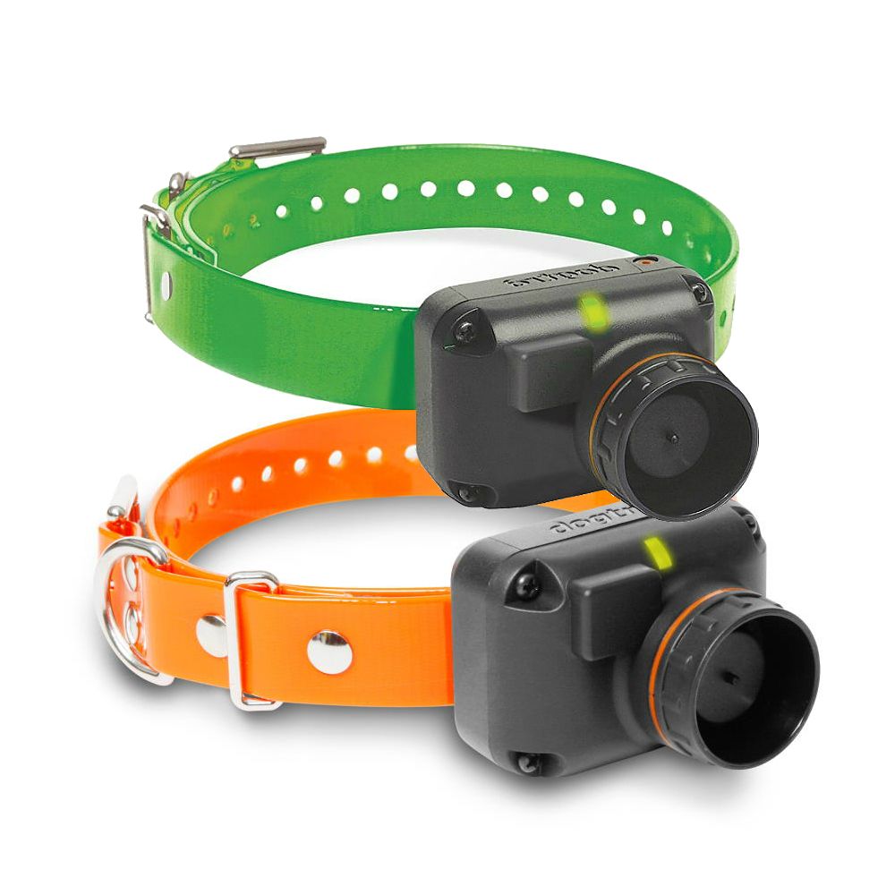 Dogtra T&B Replacement Receivers | Dog Training Outlet